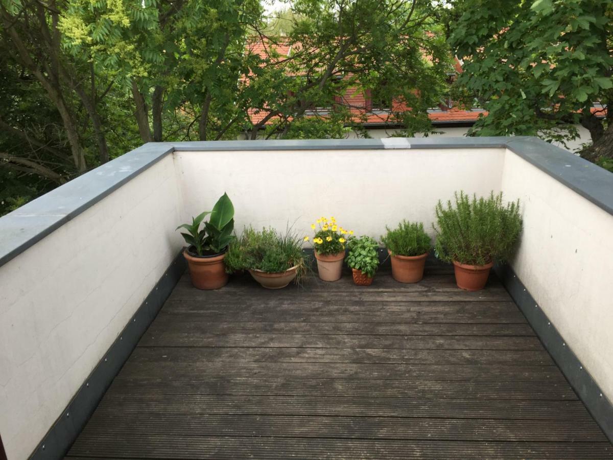 Charmante Dachgeschoss Wohnung Lipsko Exteriér fotografie